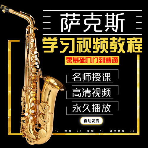 淘宝主图 乐器