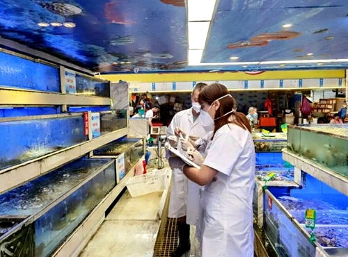 成都对部分加工海鲜和进口冻肉的批发市场开展核酸检测 结果均为阴性