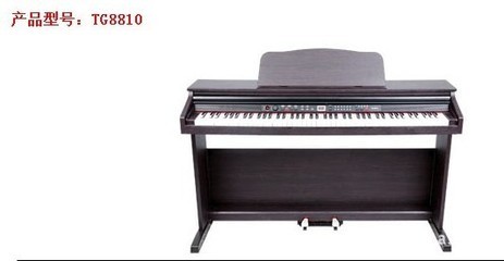 【吟飞牌电钢琴 TG8810 广州市弘扬乐器】价格,厂家,图片,西洋键盘乐器,广州市海琴乐器批发部-