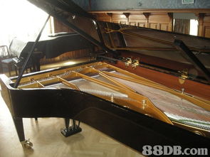 2020最新271个有关grand piano kawai rx2之价格及商户联络资讯 hk 88db.com