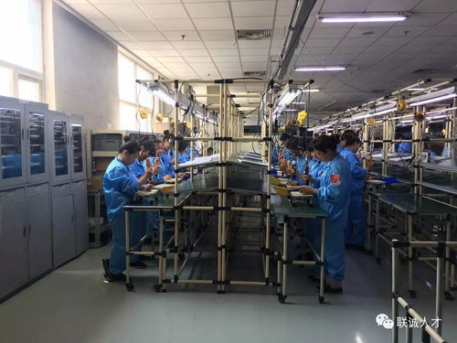 乐器批发的快速崛起 市场机遇与挑战